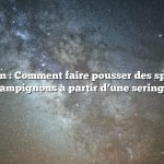 Question : Comment faire pousser des spores de champignons à partir d’une seringue